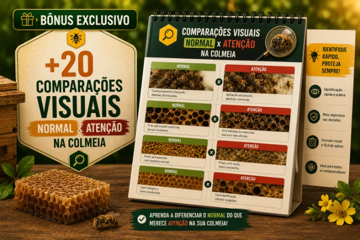 +50 Comparações Visuais “Normal x Atenção”