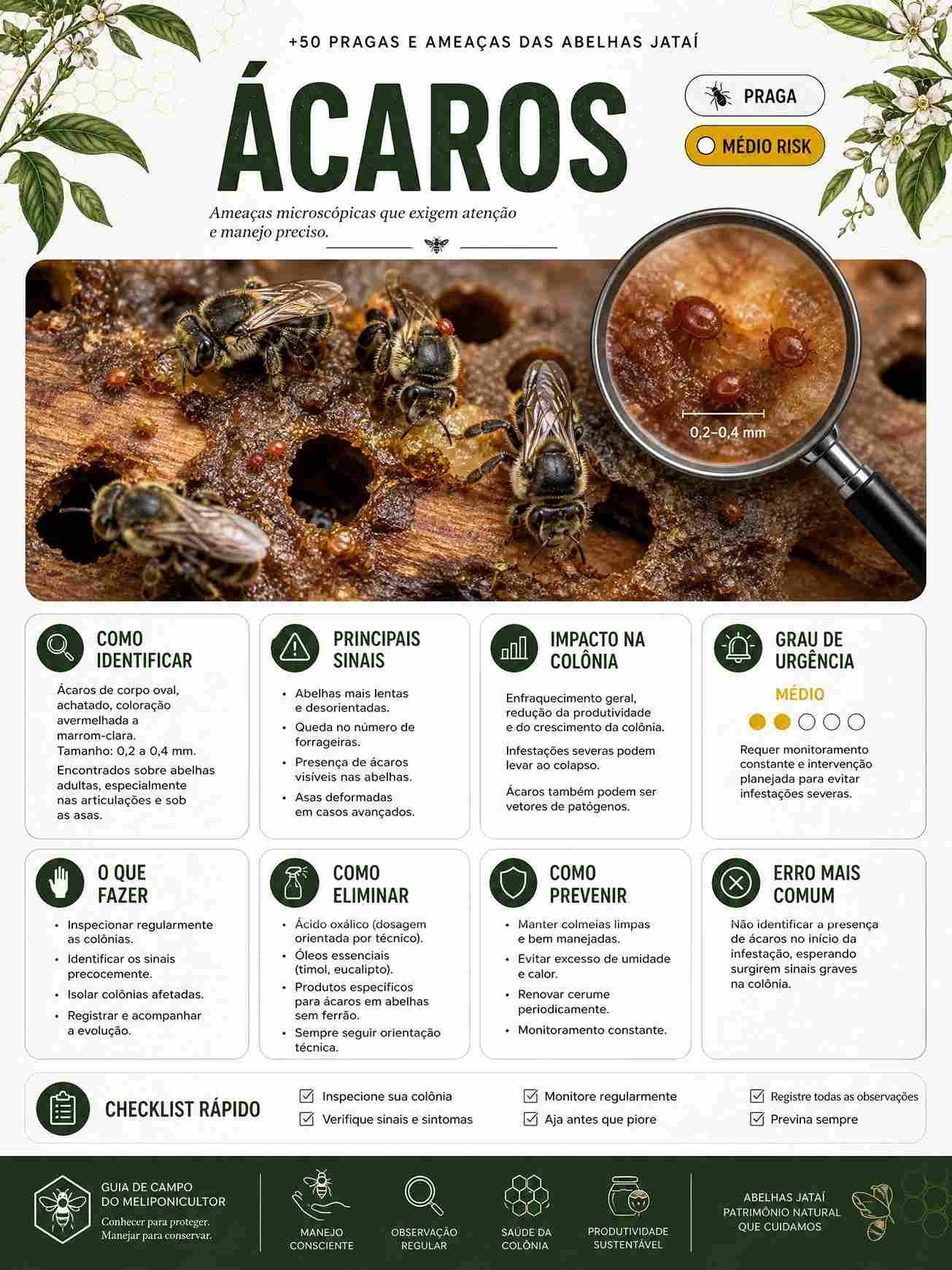 Prévia 3 do Mapa Visual das Pragas e Ameaças das Abelhas Jataí